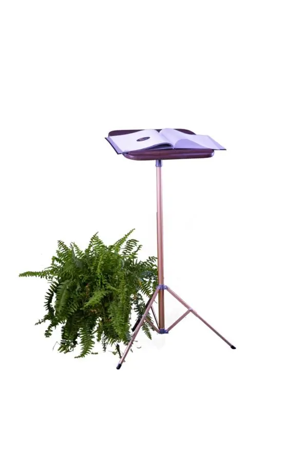 Pedestal Register Stand/Lectern - Image 6